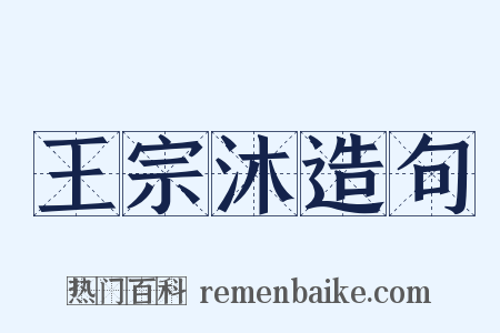 王宗沐造句是什么意思的图片